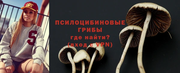 прущий лед Горно-Алтайск