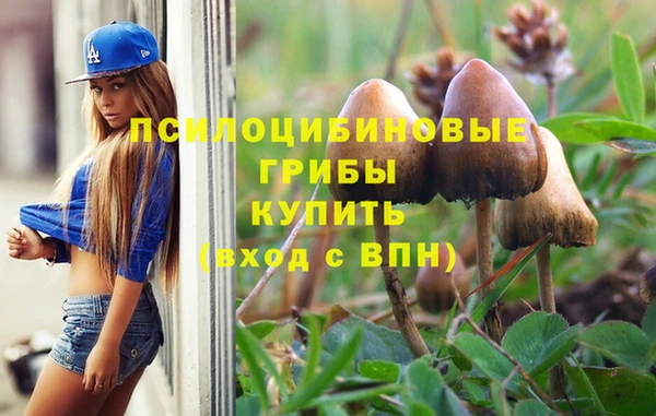 прущий лед Горно-Алтайск
