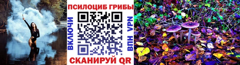ОМГ ОМГ зеркало  как найти   Изобильный  Псилоцибиновые грибы Psilocybe 